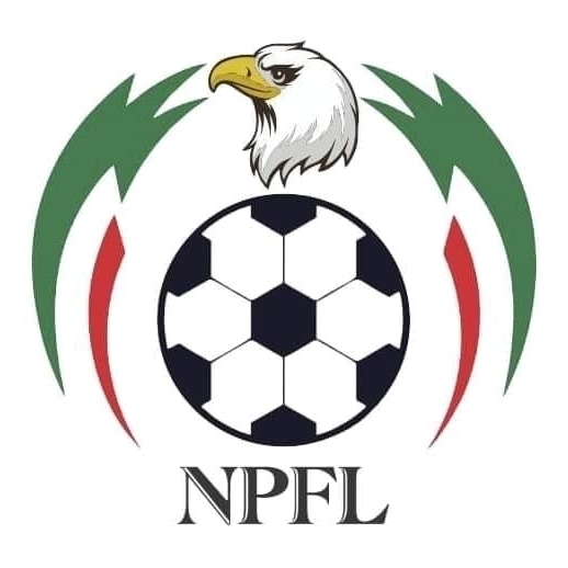 NPFL Slams  El-kanemi Warriors With  N3.5m Fine , Shuts Down Stadium To Fans