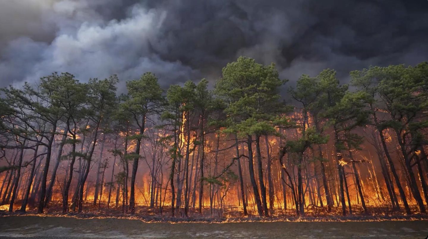 Wildfire in New Jersey Pine Barrens expected to grow before it's contained, officials say