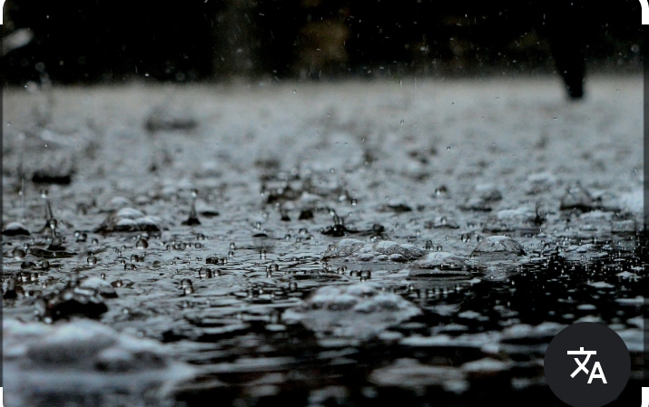 Rain Rain. 