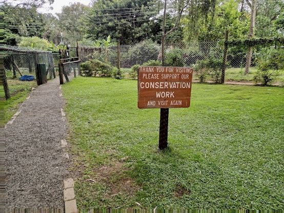 Mount Kenya Wildlife Conservancy (Animal Orphanage) – A Sanctuary for Wildlife