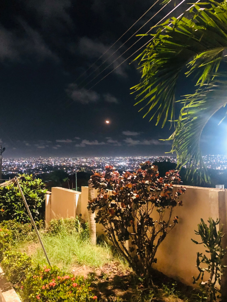 the view