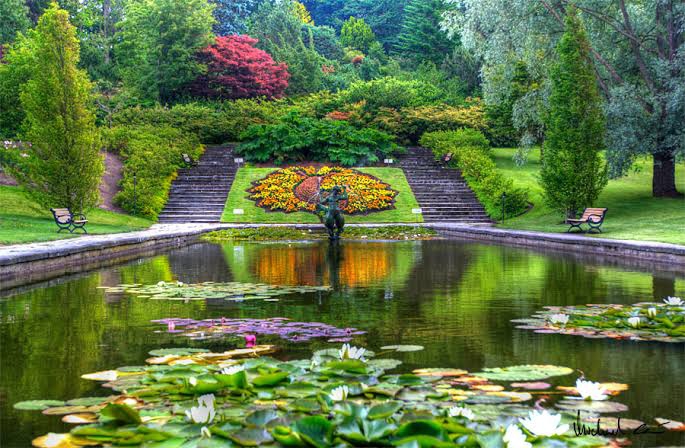 Kigali Botanical Gardens: A Lush Urban Oasis Blooming with Biodiversity
