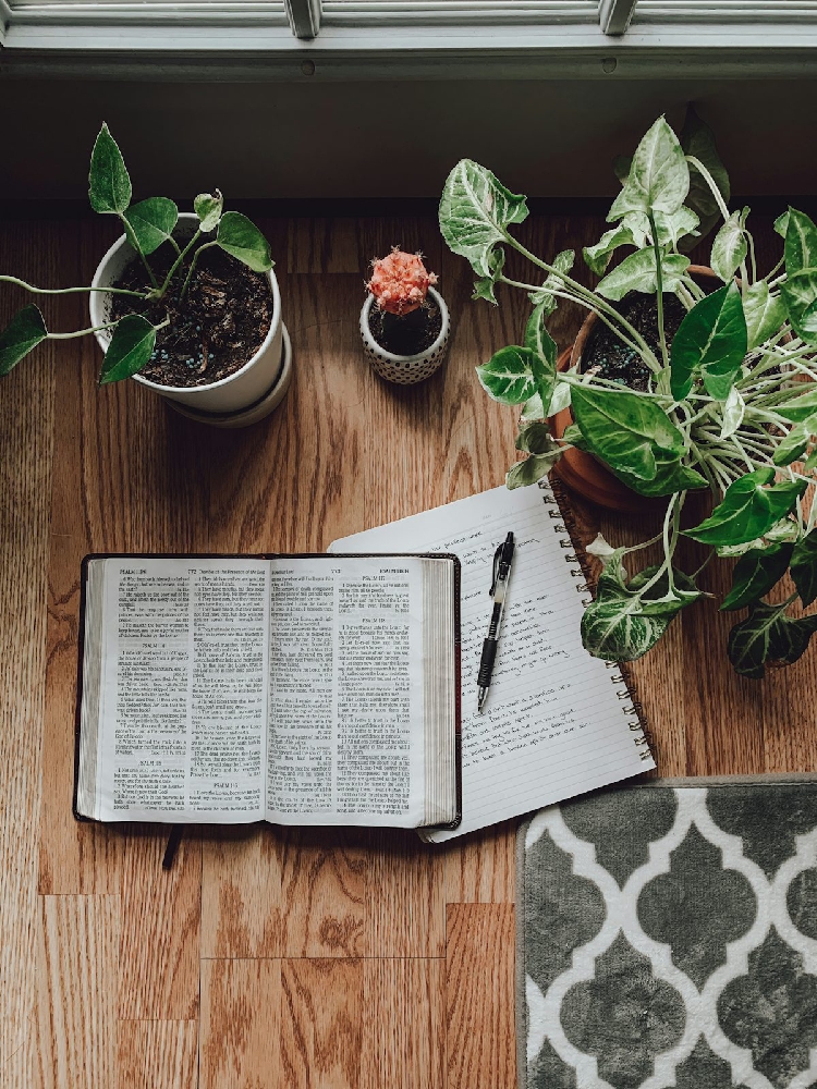 Faith Based Confessions (Genesis)