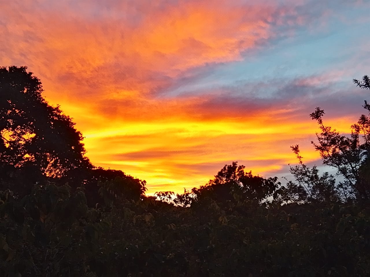 Kenya at 8:41 pm