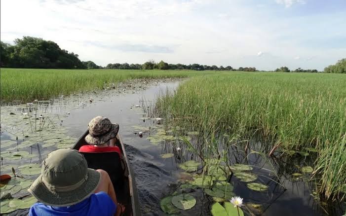 Shakawe Fishing Areas: Cast into the Heart of the Okavango