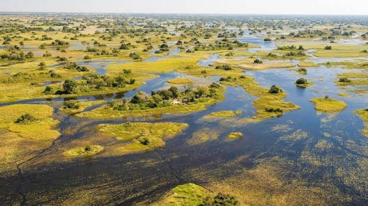Lake Ngami: A Timeless Botswana Lagoon