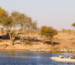 Boteti River: The Desert's Lifeline Reawakened
