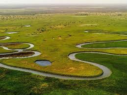 Okavango River: Lifeline of the Kalahari and Soul of Botswana