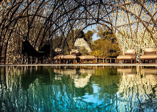 Jao Concession — The Emerald Enclave of the Okavango’s Wild Soul