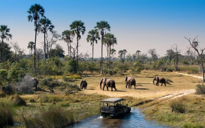 Vumbura Plains — Where Sky Mirrors Water in Northern Okavango Splendor