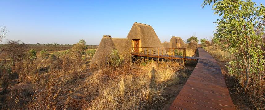 Xaudum Valley — Botswana’s Hidden Eden of the Kalahari North