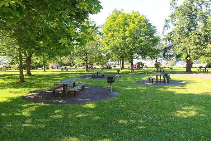 Tsholofelo Park – A Peaceful Patch of Gaborone
