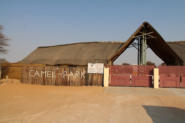 Tsabong Camel Park: Desert Journeys on Bactrian Backs