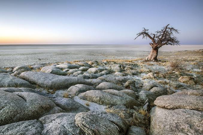 Nxaikha Pan — Botswana’s Hidden Salt Gem in the Wild