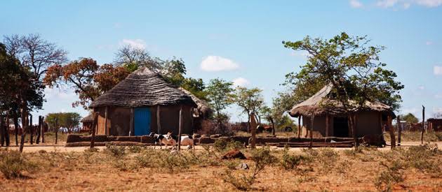 Letlhakane Game Farm — Where Diamond Town Meets Kalahari Wilderness