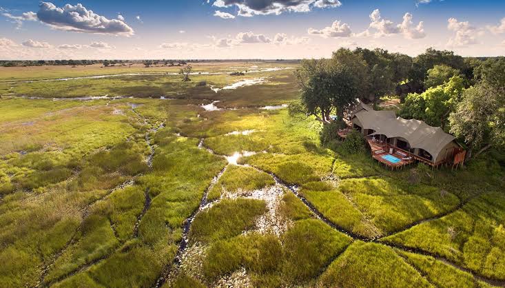 Duba Plains – The Theater of Lions and Floods
