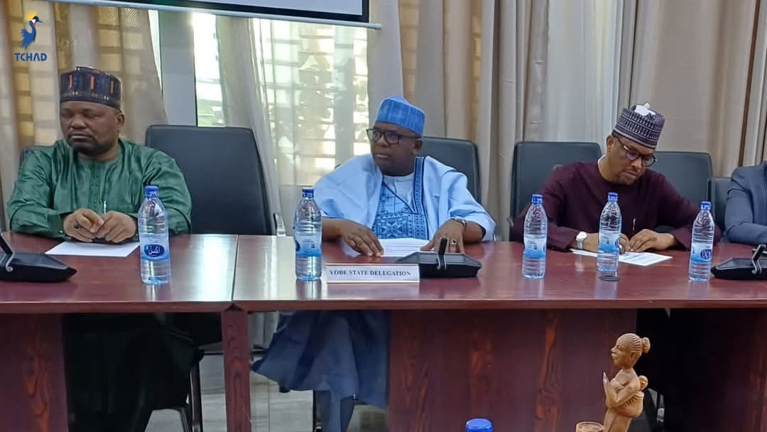 Hon. Salisu Muktari Attends Lake Chad Basin Commission Meeting in Ndjamena, Chad