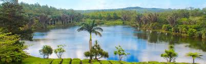 Route du Thé – A Taste of Colonial Elegance and Nature