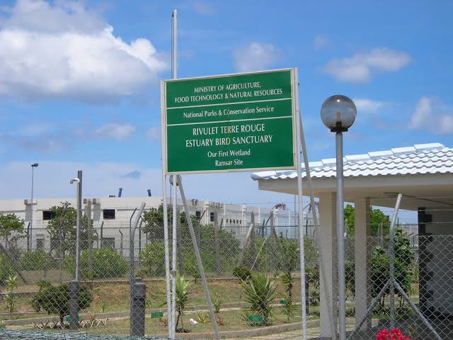 Rivulet Terre Rouge Estuary Bird Sanctuary – Port Louis’s Wetland Wonder