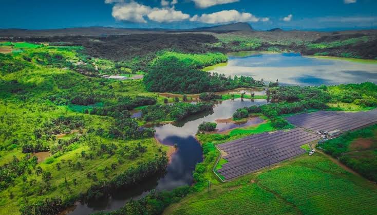 Tamarind Falls Reservoir – Where Wilderness Meets Still Waters
