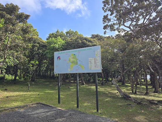 Black River Gorges National Park – Mauritius’s Wild Heartbeat