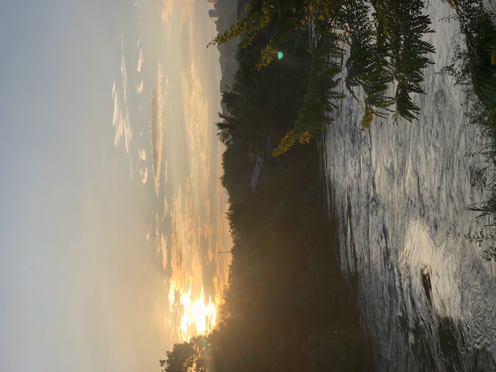 there is something about nature