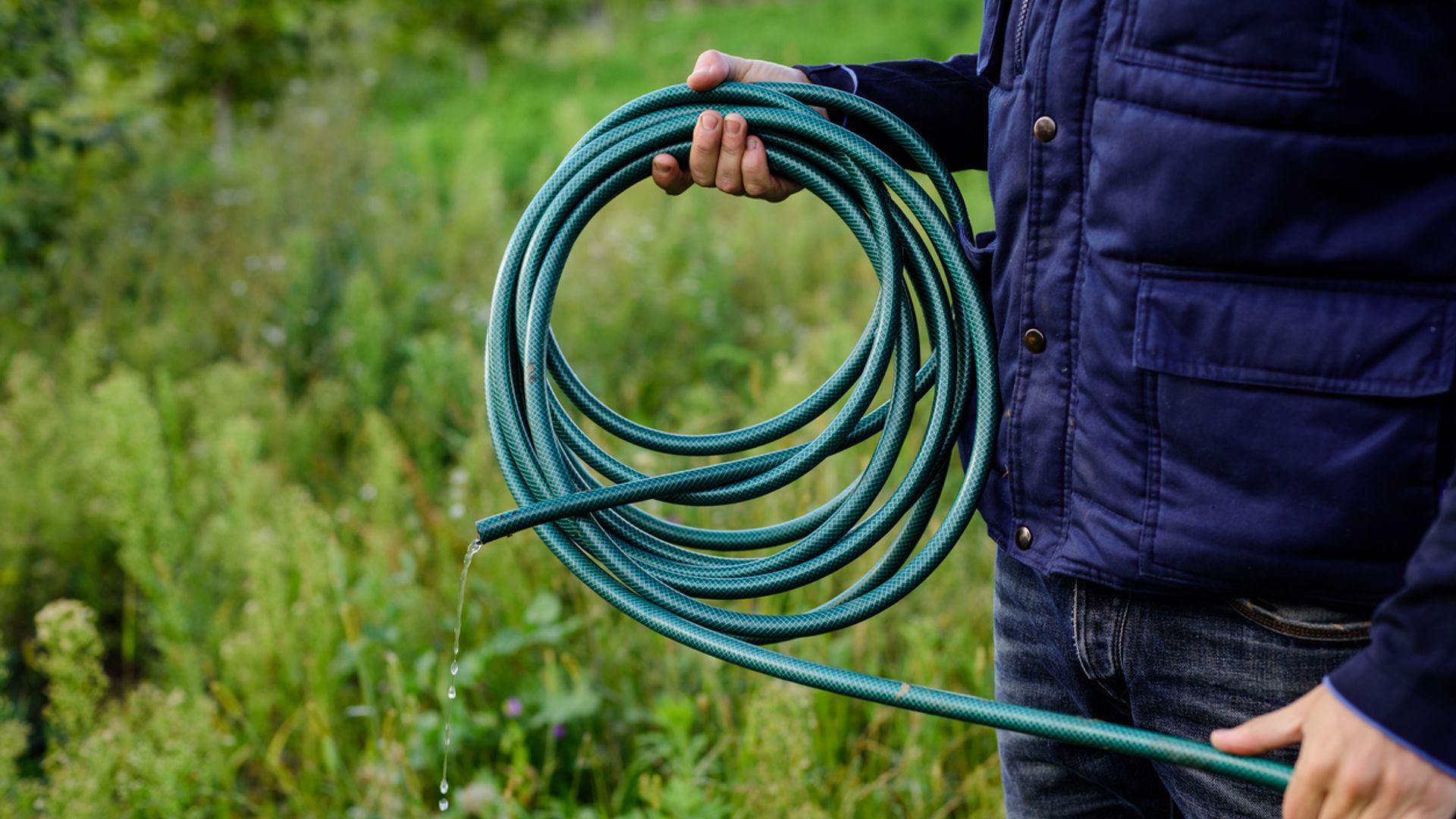 Hosepipe ban declared for some areas in UK - what you need to know
