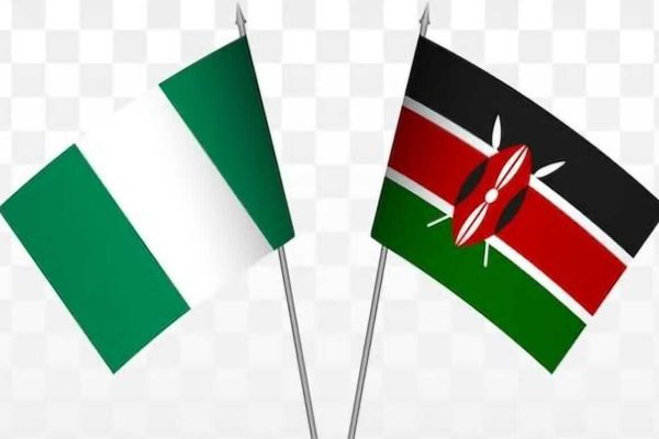 Reforms: How Nigeria, Kenya are rewriting Africas procurement playbook, by Sufuyan Ojeifo