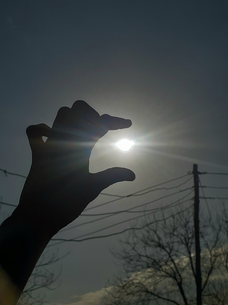 ROTLIGHT