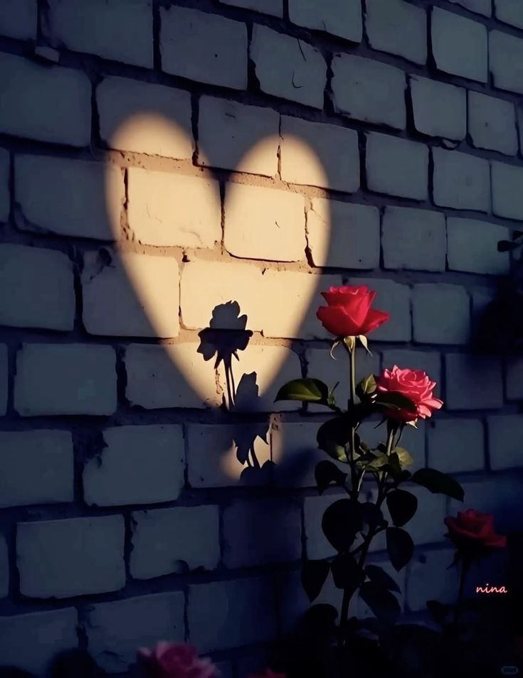 What is the cost of loving you ?