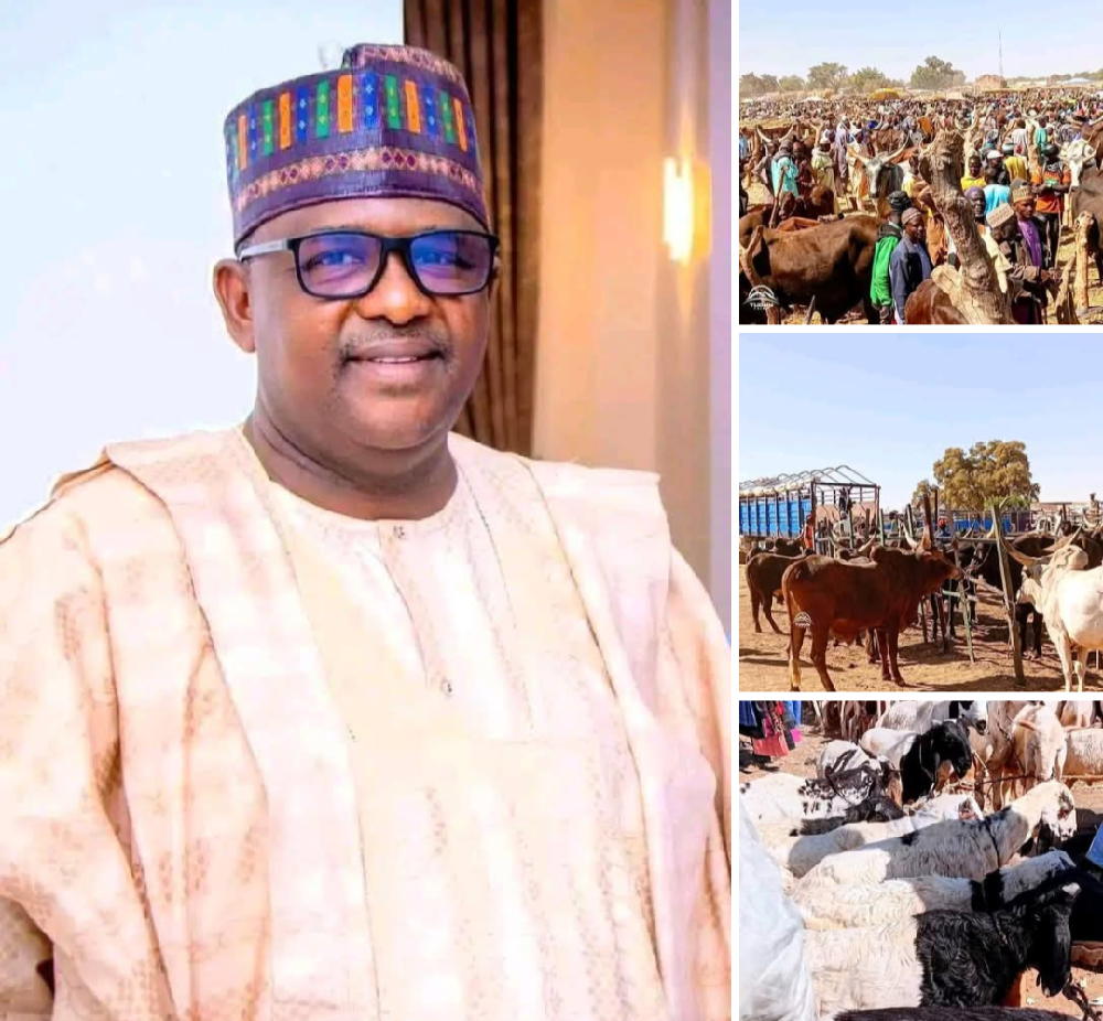 Hon. Salisu Muktari Elevates Potiskum’s Economic Future with Appointment of SSA on Livestock Production