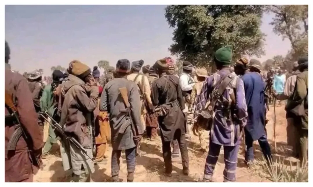 JUST IN: 215 pupils, 12 teachers abducted from Niger Catholic school — CAN