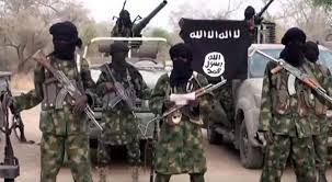 Yet again, ISWAP abducts female teenagers in Borno, Nigeria
