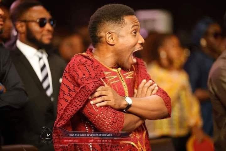 I thought I was buying eggs... Instead I entered a dog war