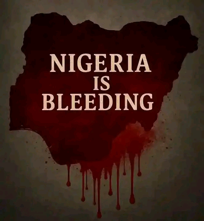 Nigeria is bleading 