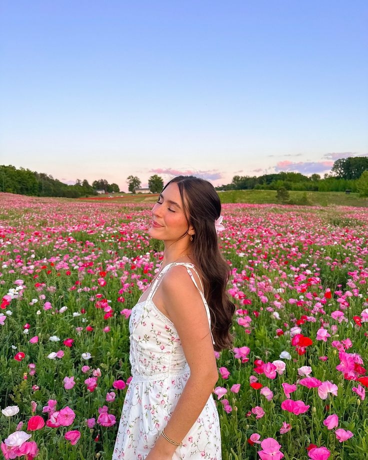 The Mysterious Beauty 