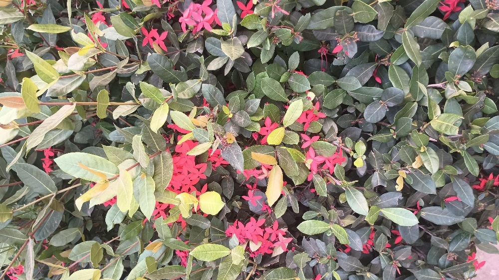 When The Angels Liked My Post ( PART 3)