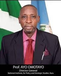 Killings: 'Negotiating with bandits is welcome' - DG, Nigeria's think tank for policy-making says