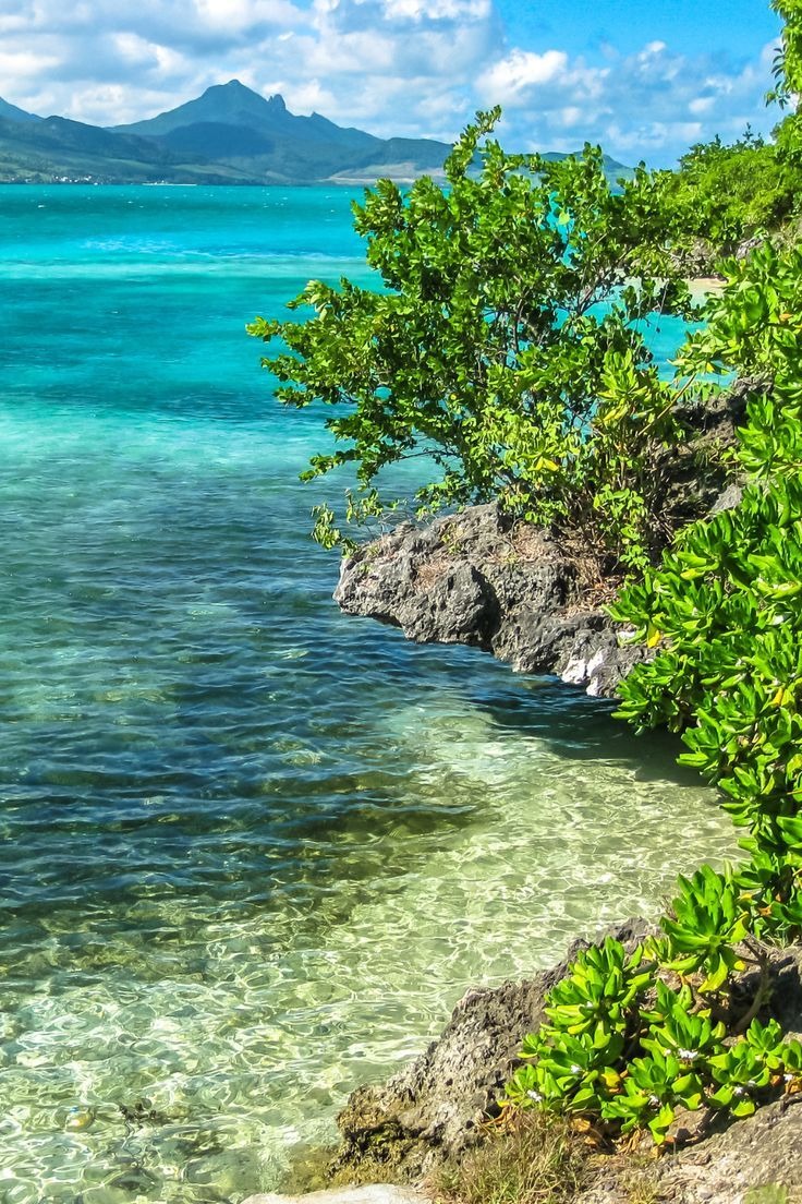 I’ve been to Île aux Aigrettes three times now, and what always gets me is...