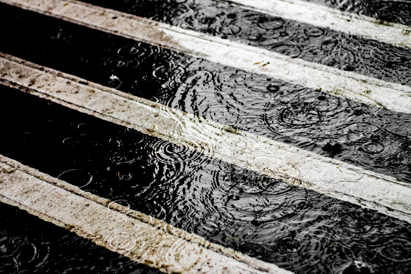 Rain makes better photographers.