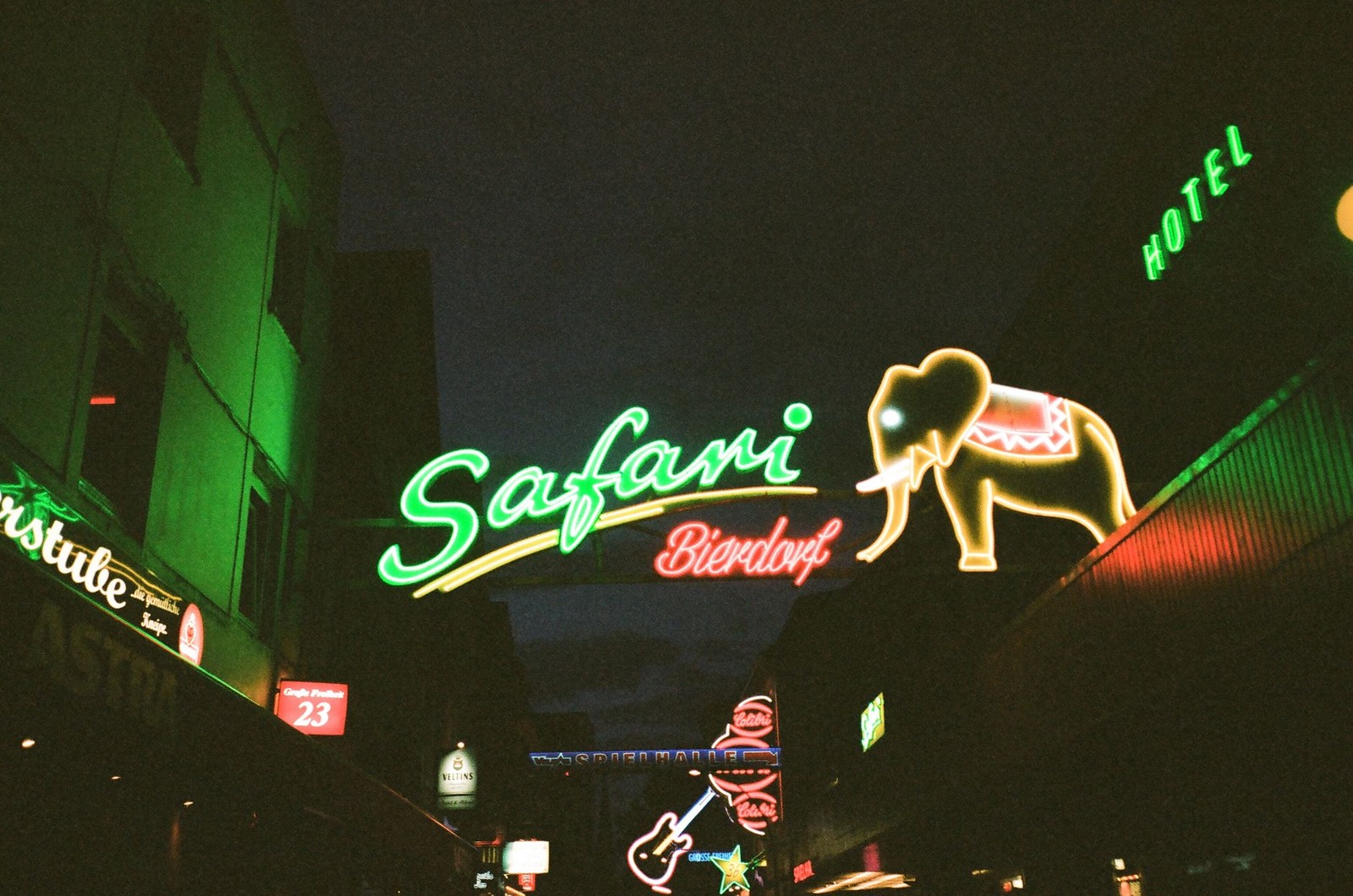 The neon sign flickers / long after the bar closes. / A stray cat tips over...