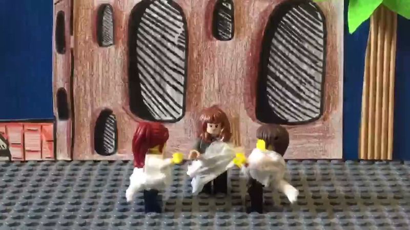 Stop Motion 2 : les Sabines
