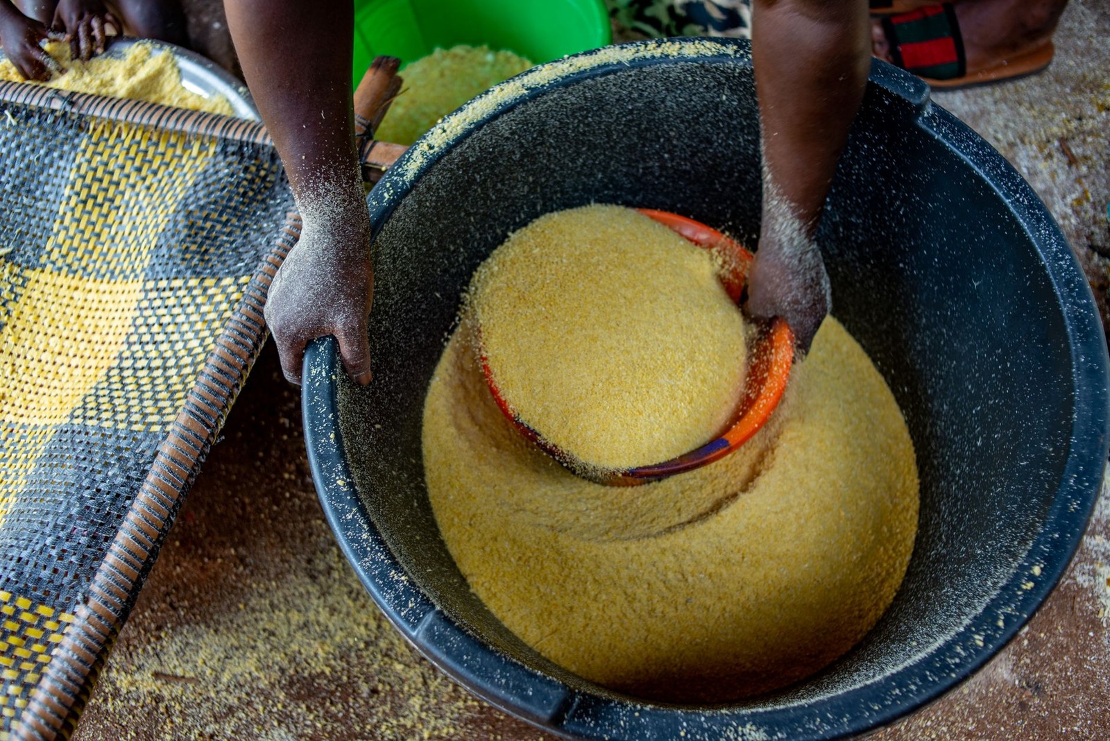 They trace the fault lines in the grain,